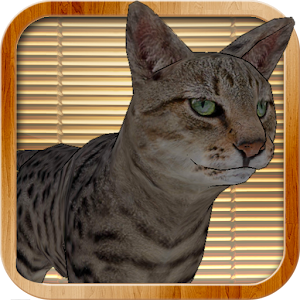 Kitty Cat Simulator.apk 1.0