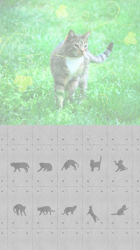【免費個人化App】Cat Wallpaper Full version-APP點子