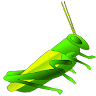 Awkward Cricket Application icon