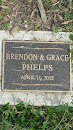 Brendon and Grace Phelps Memorial Tree