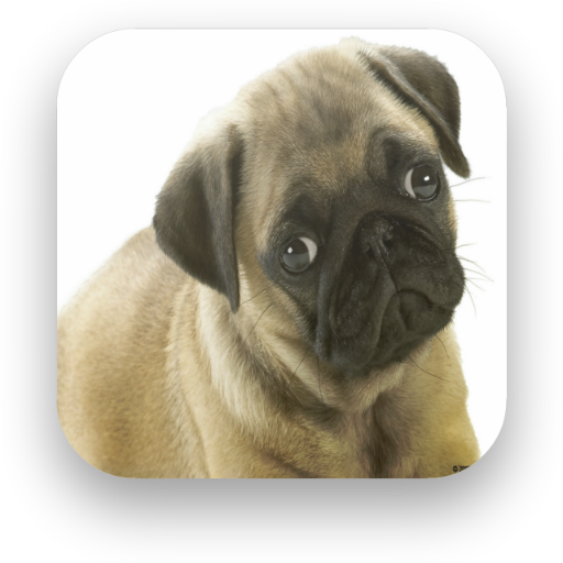 DOG DATA 教育 App LOGO-APP開箱王