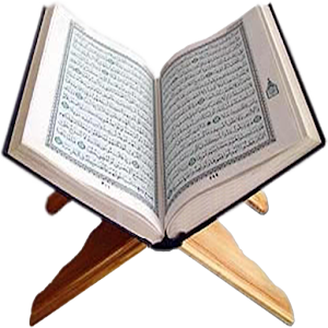pCg4HDKH9frpvk28_YBIm0fXJk334ndIdbkHFTB1bRioIyRgCZ2eQ1D1dT-tUsNAjvcL=w300