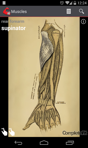 免費下載健康APP|CompleteFit Muscles Reference app開箱文|APP開箱王