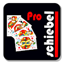 Officers Skat pro logo