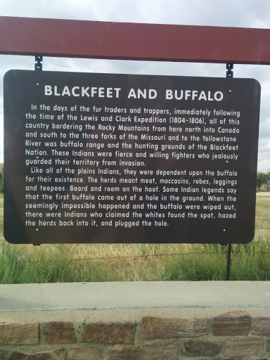 Blackfeet And Buffalo