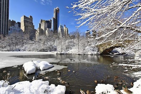 How to install New York City Snow Wallpaper 1.2 mod apk for android