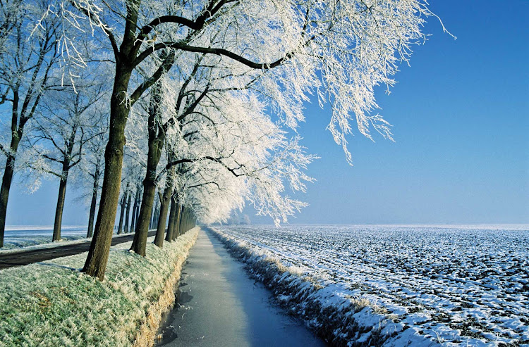 Winter landscape in the Netherlands.