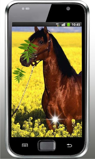 Horses Nature live wallpaper