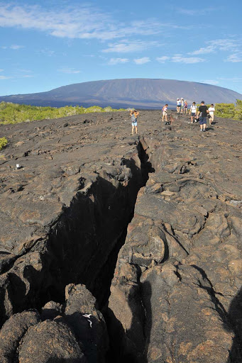 You'll feel like an amateur geology buff after touring Fernandina Island in the Galapagos.