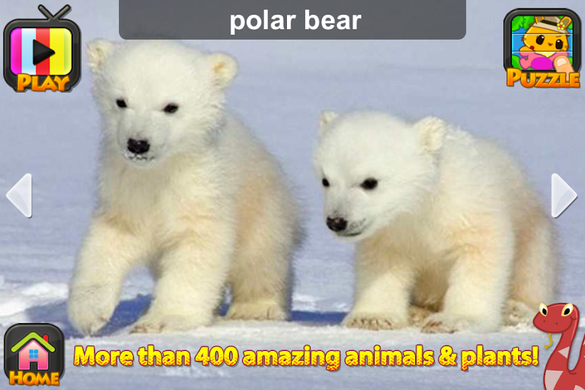 ABC SAFARI - VIDEOS &amp; PICTURES Screen 3