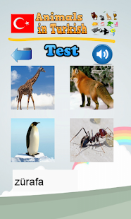 download Pelajari hewan di Turki free