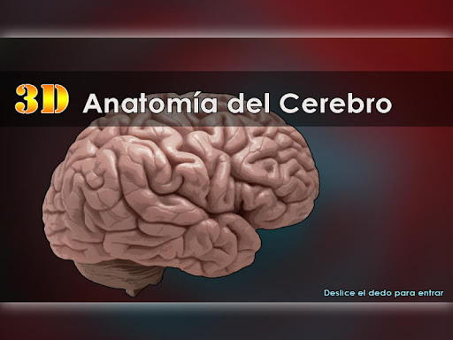 免費下載教育APP|Anatomía del Cerebro 3D app開箱文|APP開箱王