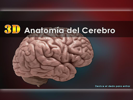 【免費教育App】Anatomía del Cerebro 3D-APP點子