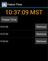 Freeze Time poster 2