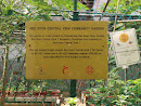 Nee Soon Central View Community Garden Plaque