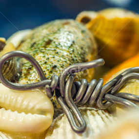 by Shawalfitri Safar - Artistic Objects Toys