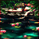 Fish Pond Live Wallpaper