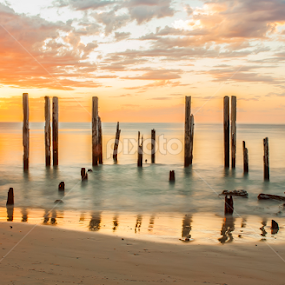 Positive Influences by Sharon Wills - Landscapes Waterscapes