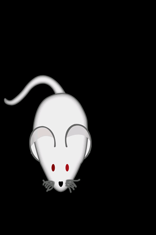 【免費休閒App】Evil Mouse Game For Cats-APP點子