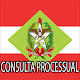 Consulta Processual TJ/SC APK