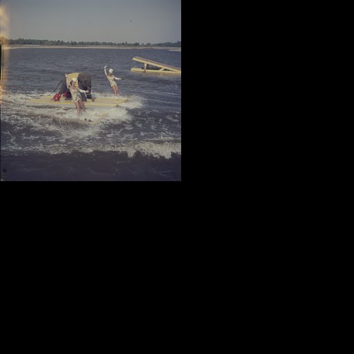 Water Skiing Elephant - Robert W Kelley — Google Arts & Culture