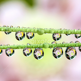 by JL Tan - Abstract Water Drops & Splashes