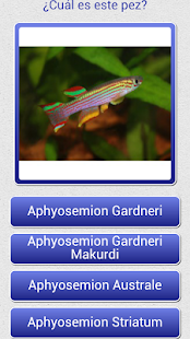 How to mod Adivina los Peces lastet apk for bluestacks