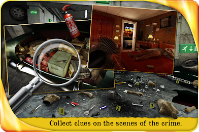 Profiler - Hidden object poster 13