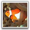 Best Fish Wallpapers logo
