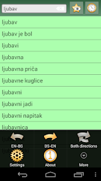 English Bosnian dictionary poster 5