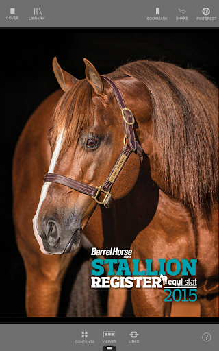 Barrel Horse News Stallion