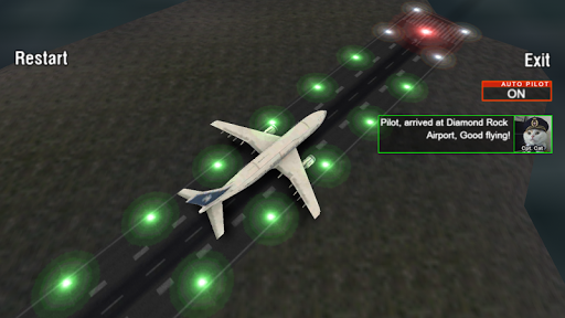 Airplane Night Flight Time Sim