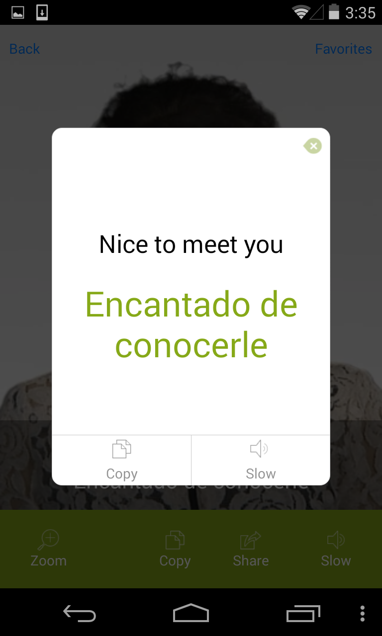 Spanish Video Translation Screen 3