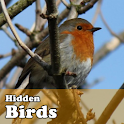Hidden Object Games - Birds