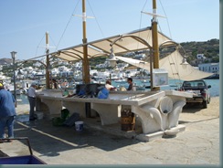 DSCN2630