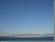 DSCN1977