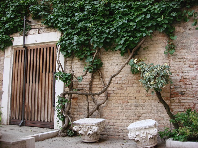 [VeniceDay20984.jpg]