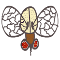 Survive The Flies