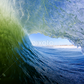 Green Room by Dave Nilsen - Landscapes Waterscapes