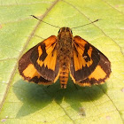 Skipper