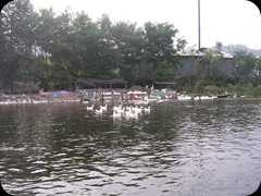 China river scene panorama boat