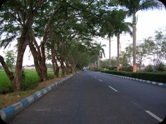Countryside Road