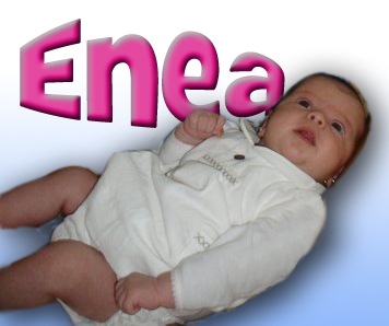 [Enea2[2].jpg]