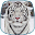 White Tiger Live Wallpaper Download on Windows