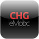 Chicago  Guide