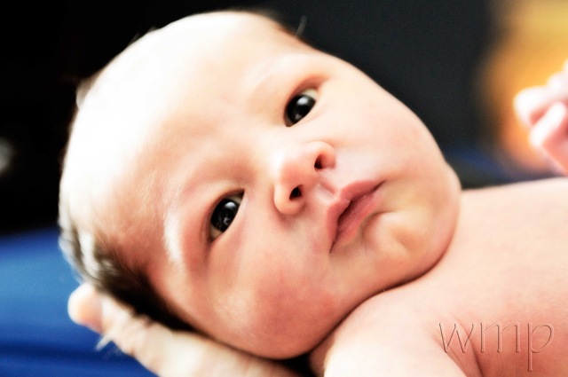 [_WMP6062-Edit[4].jpg]