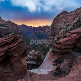 Sunset point at Zion by Nick Page - Landscapes Mountains & Hills