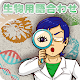 生物用語合わせ APK