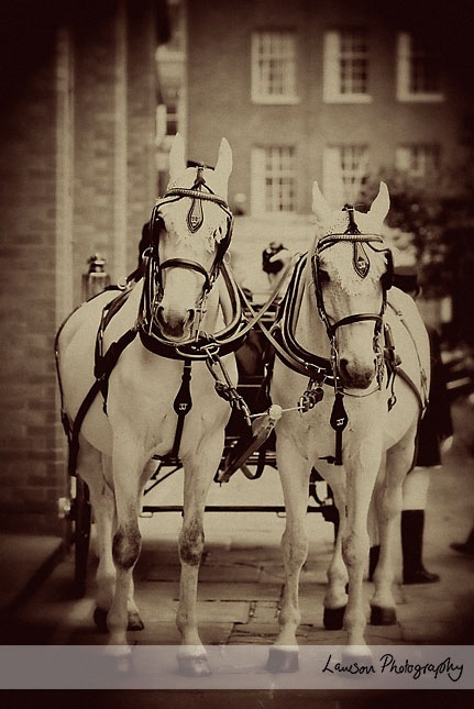 [Joy_Alan043[3].jpg]