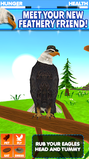 Virtual Pet Eagle